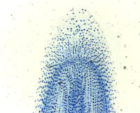 Микроскоп «МИКТРОН-800»